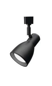 Lithonia Lighting LTHNSTBF BR20 DBL M2 Baffle Head Track Lighting, Black - Picture 1 of 3