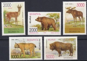 Belarus 1995 Fauna Animals 5 MNH stamps - Picture 1 of 1