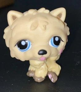 Littlest Pet Shop LPS autentico #1208 Chow Chow beige rosa fiore cucciolo cane - Foto 1 di 5