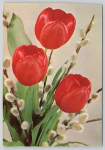 Postcard Red Tulips with White Pussy Willows - Flowers Blossom - Picture 1 of 2