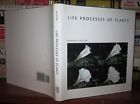 Galston, Arthur William Life Processes Of Plants  1St Edition 1St Printing