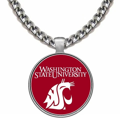 Large Washington Cougars Mens 24" Stainless Steel Chain Pendant Necklace D5 Cover