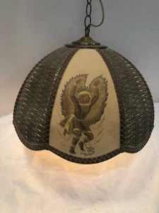 Vintage Native American Southwest Rattan Brown Swag Lamp Pendent - 18" x 12" - Picture 1 of 10