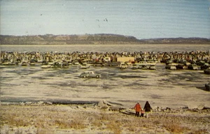 Lake City,MN Hiawatha Valley Ice Fishing Contest Wabasha County Minnesota 60s - Picture 1 of 2