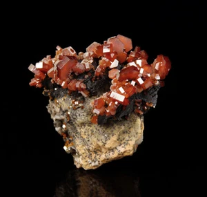 Red Vanadinite crystals on black Baryte from Mibladen - Morocco - Picture 1 of 4