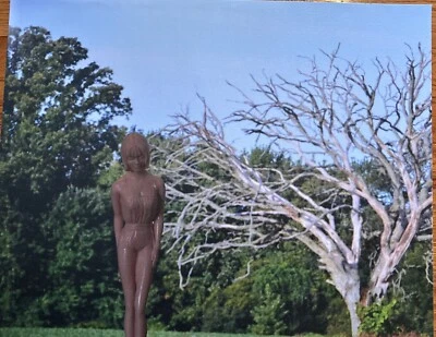 Collage de fotos de lienzo de galería 16x20 medios mixtos arte de pared único en su clase  Foto 1 de 4