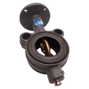 Válvula de mariposa de hierro Milwaukee CW223E tamaño de tubo de 2", 200 psi, perno de ø0,44" - Imagen 1 de 8