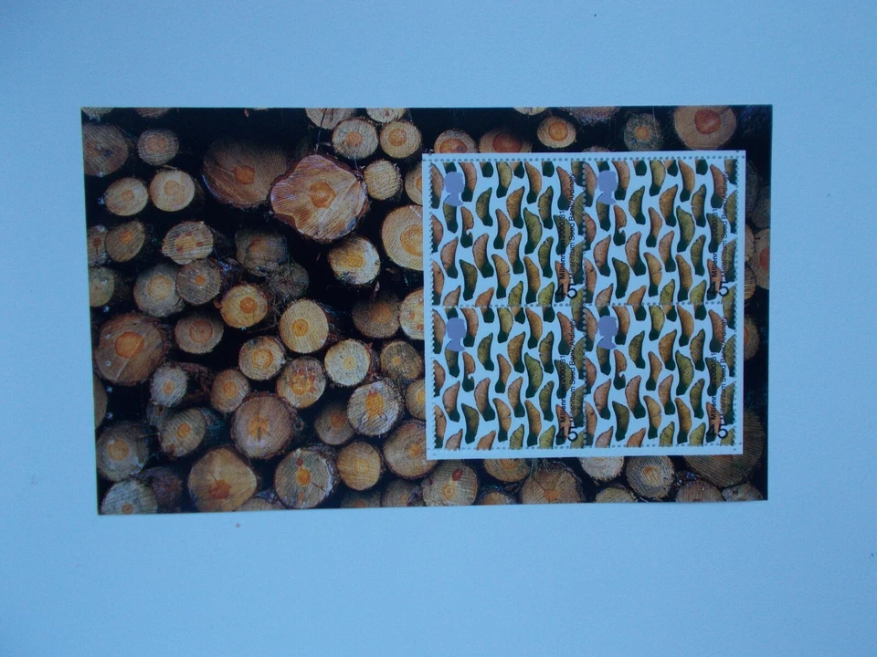 2000 SG2158a Sycamore Seeds 45p Prestige Booklet Pane Treasury of Trees DX26 U/M - Image 1 of 1
