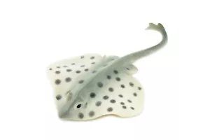 Spotted Stingray Fish Hand Painted Realistic Toy Figurine Model 4.5" CH453 BB114 - Picture 1 of 8
