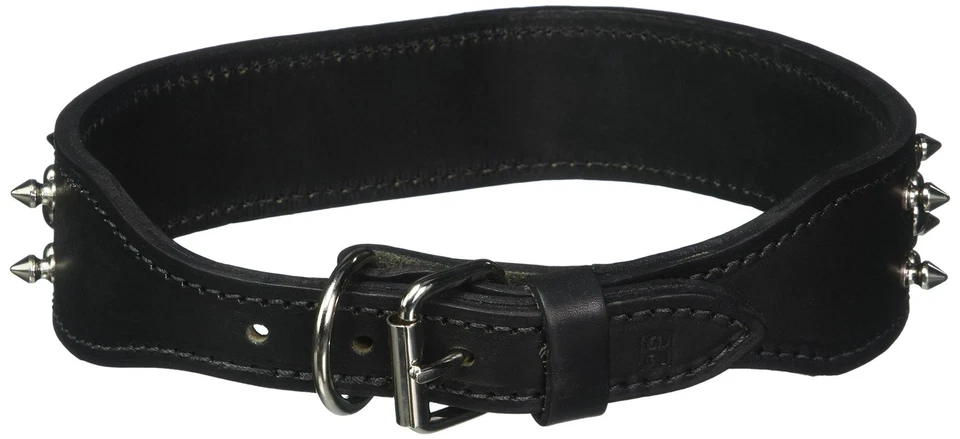 Collar para mascotas de cuero Latigo con clavos y tachuelas, 2" x 29", negro Foto 1 de 2