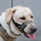Dog Muzzle for Drinking Eating Treats Comfortable Adjustable Reflective Leash