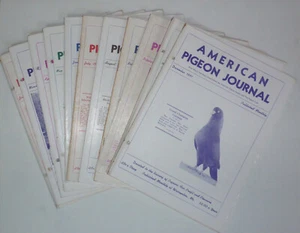 A set of 11 American Pigeon Journals of 1951 In good condition but see details. - Picture 1 of 12