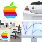 Sticker Of Vinyl Apple Colours XL. Duration Outer Plus Of 7 Years