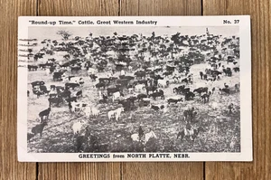 Vintage Postkarte North Platte NE Nebraska Lincoln County Landwirtschaft Rinder - Bild 1 von 2