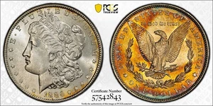 1886-P PCGS MS63 MORGAN $ MONSTER COLORFUL TONED TRUE VIEW!!! - Picture 1 of 3