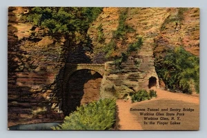 Watkins Glen State Park Entrance Tunnel & Sentry Bridge Vintage Postcard - Picture 1 of 2
