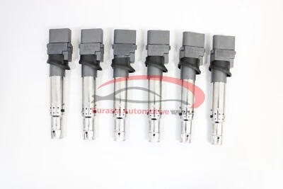 Bobinas de encendido OEM Eldor 6 x 022905715A para Volkswagen Touareg 3,6 L 09-17 Foto 1 de 2