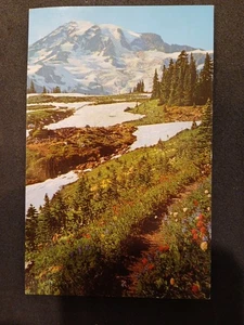 Mt Rainier National Park Washington Prati Alpini cartolina d'epoca - Foto 1 di 2