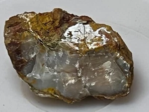 limb end petrifeid holz achatisiert 8 oz - Bild 1 von 5