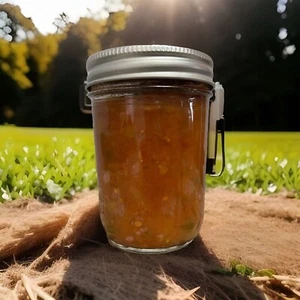 The Best Sugar Free Apricot Jam Around Delicious And Tasty - Picture 1 of 1