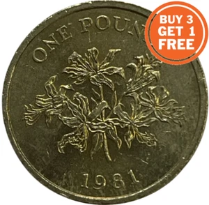 GUERNSEY £1 - 1 POUND - 1981 - 2012 - CHOICE OF DATE - Picture 1 of 10