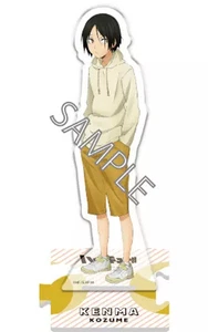Acrylic Stand Panel Kozume Memorable Scene Full Body Haikyu - Picture 1 of 1