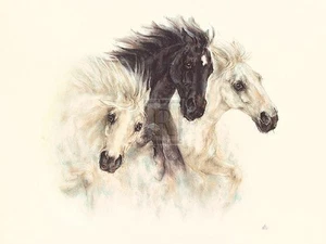 Nikki Horses Open Edition - Picture 1 of 1
