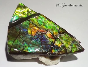 205Carat. Doppelseitig Ammolite /Drachenschuppe Grün-Golden-Orange + VIDEO - Picture 1 of 5