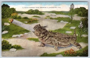 TEXAS HORNED TOAD SMOKING A CIGARETTE HUMOR EXAGGERATED VINTAGE POSTCARD - Picture 1 of 2