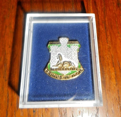 Pin de solapa The Dorsetshire Regiment tono dorado con esmalte - nuevo Foto 1 de 4