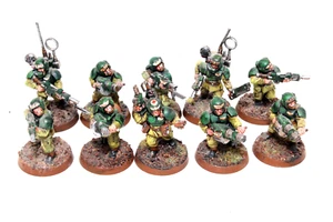 Warhammer Imperial Guard Cadian Shock Troops Well Painted JYS64 - Picture 1 of 4