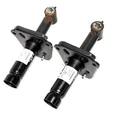 Juego de 2 amortiguadores de puntal parachoques trasero izquierdo derecho Jaguar XKR X100 97-06 OEM Foto 1 de 4