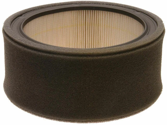Filtro de aire AC Delco para Chevy K10 Suburban 1980-1981, 1985-1986 76GVDQ Foto 1 de 1