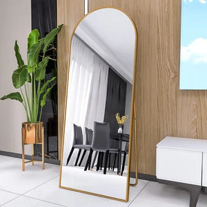 Ganzkörperspiegel Standspiegel Wandspiegel Groß Flurspiegel Selbststehend 165x60 - Bild 1 von 11