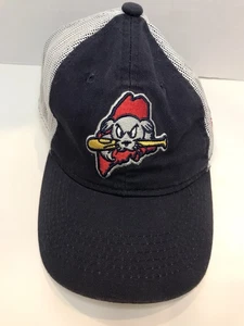 Portland Sea Dog Maine State Outline Jugend Mütze Red Sox Minor MiLB (A13) - Bild 1 von 11