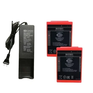 2x BA225031 6V 2100mAh Battery + QA109600 Battery Charger For HBC Crane remote - Picture 1 of 5