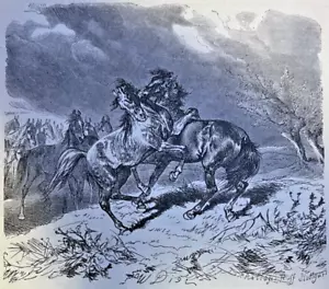 1877 Horses and Horse Riding illustrated - Picture 1 of 4