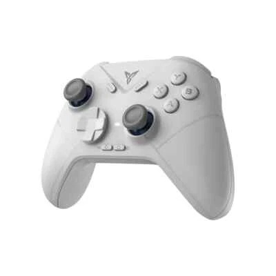 Flydigi Dune Fox Hall-Effect 500hz Wireless Gaming Controller PC/Switch/Mobile - Image 1 of 4