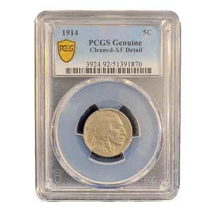 1914 Buffalo Nickel 5c PCGS XF Details gereinigt - Bild 1 von 2