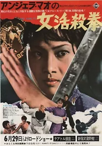 Póster volador de película japonesa Hapkido 1972 Lady Kung Fu Angela Mao Chirashi B5 - Imagen 1 de 1