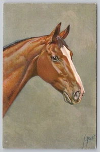 Stehli Swiss Art Postcard Thoroughbred Horse Jean-Marie Rivet (No. 153) Postcard - Picture 1 of 5