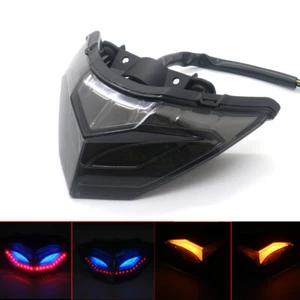 LED Smoke Tail Brake Turn Signal Light For Kawasaki Ninja 250 Ninja 300 13-14 - Picture 1 of 9