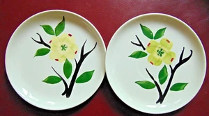 2 Vntg Blue Ridge Southern Pottery DIXIE DOGWOOD -Saucer & Bread Butter Plates - Picture 1 of 3