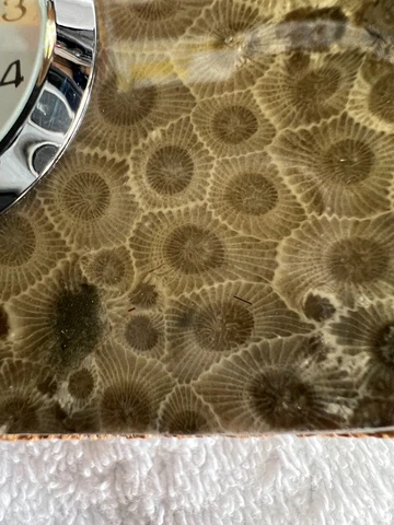 Fossilized Coral Desk/Table Clock In Green Petoskey Stone Setting Cover