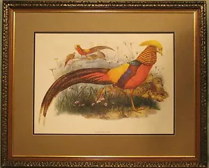 VINTAGE FRAMED LITHO PRINT GOLDEN PHEASANT ELLIOT FABREAU GIBSON CROCKER - Picture 1 of 11