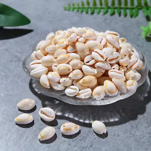50Pcs Bulk Cut Sea Shell White Cowrie Cowry Beads Beach Jewelry DIY - Picture 1 of 12