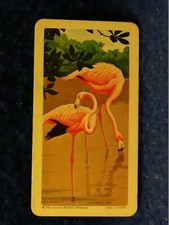 1959 -1974 Brooke Bond / Red Rose Tea Cards, Black & Blue Stripe cards U-Pick-1