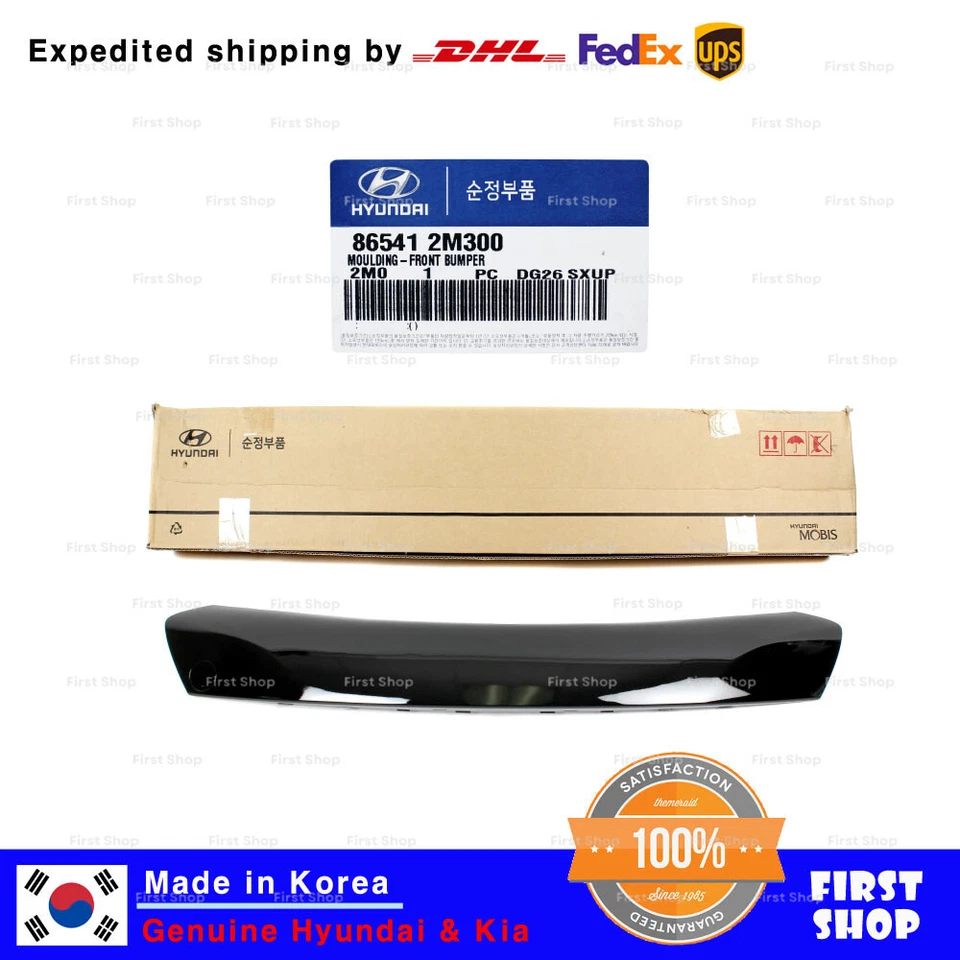 Moldura de rejilla inferior del radiador del parachoques delantero OEM para Hyundai Genesis Coupé 2013-17 Foto 1 de 4