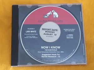 LARI WHITE Now I Know DJ PROMO CD Single 1994 2tr RIP - Picture 1 of 3
