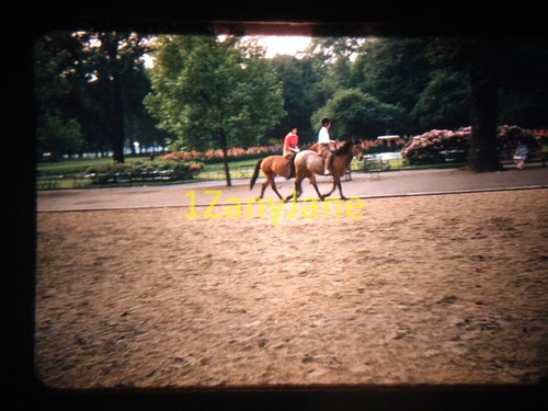 Foto 1 di 2